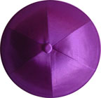 Solid: Wine Berry