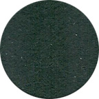 Solid: Hunter Green